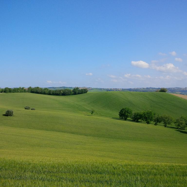 Solea Albergo Di Campagna Trecastelli Esterno foto